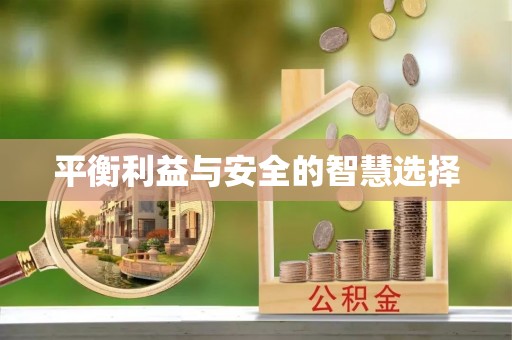 武江平衡利益与安全的智慧选择