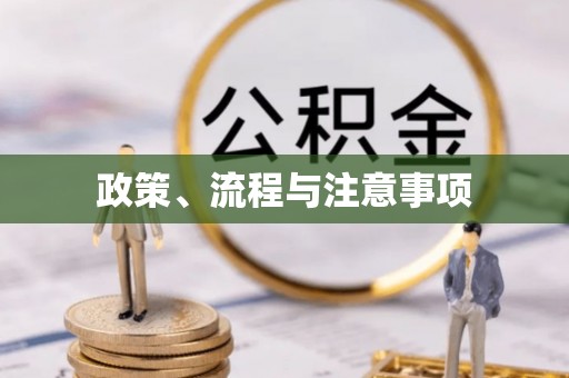 武江政策、流程与注意事项