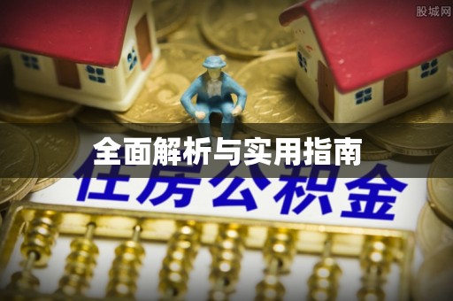 武江全面解析与实用指南