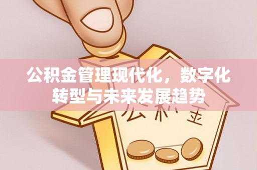 武江公积金管理现代化，数字化转型与未来发展趋势