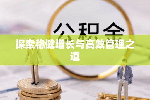 武江探索稳健增长与高效管理之道