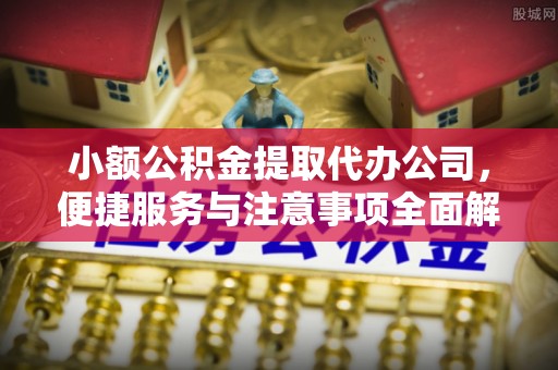 武江小额公积金提取代办公司，便捷服务与注意事项全面解析