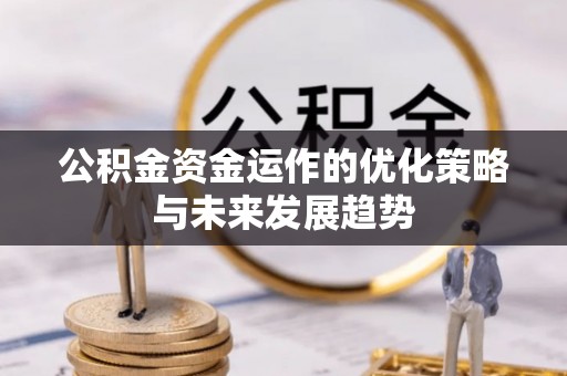 武江公积金资金运作的优化策略与未来发展趋势