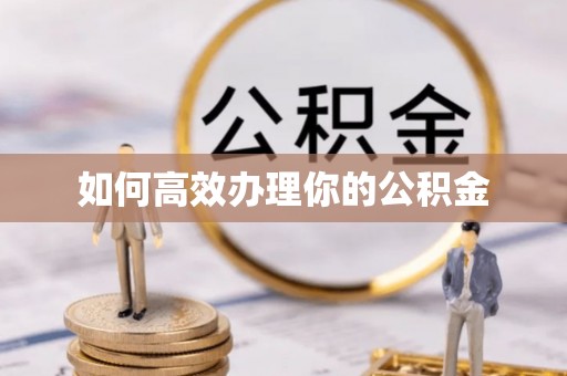 武江如何高效办理你的公积金