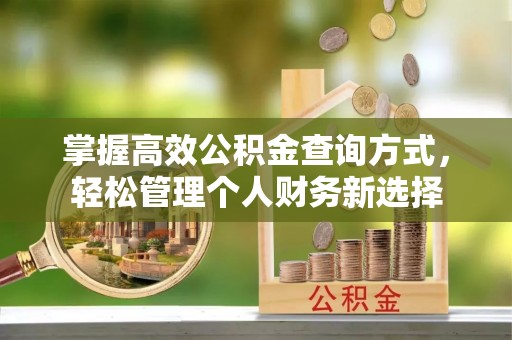 武江掌握高效公积金查询方式，轻松管理个人财务新选择