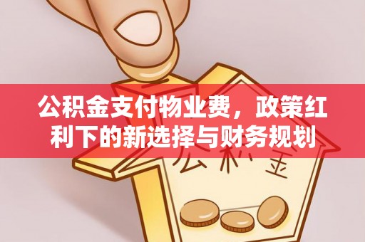 武江公积金支付物业费，政策红利下的新选择与财务规划