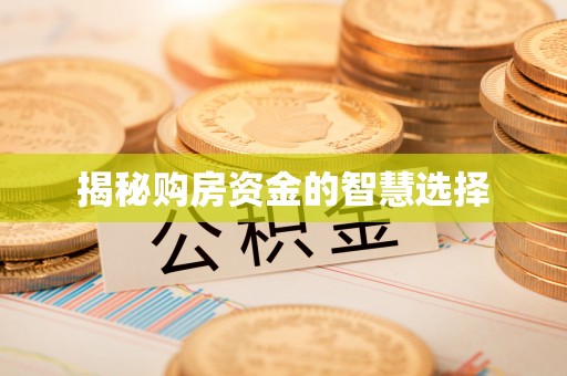 武江揭秘购房资金的智慧选择