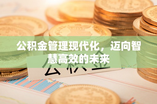 武江公积金管理现代化，迈向智慧高效的未来