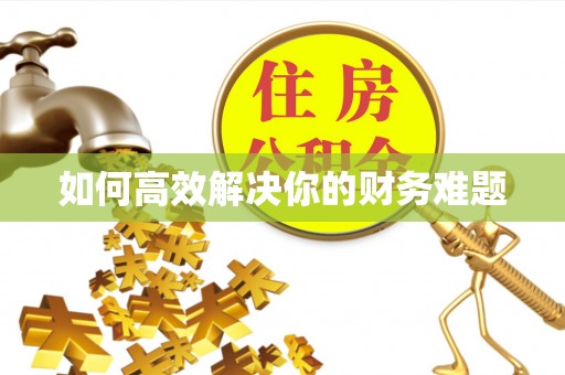 武江如何高效解决你的财务难题
