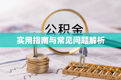 武江实用指南与常见问题解析