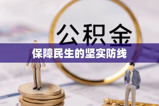 武江保障民生的坚实防线