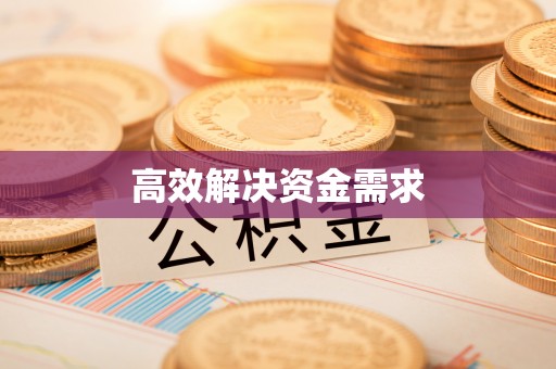 武江高效解决资金需求