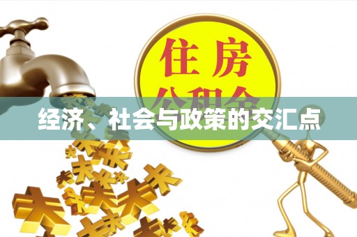武江经济、社会与政策的交汇点