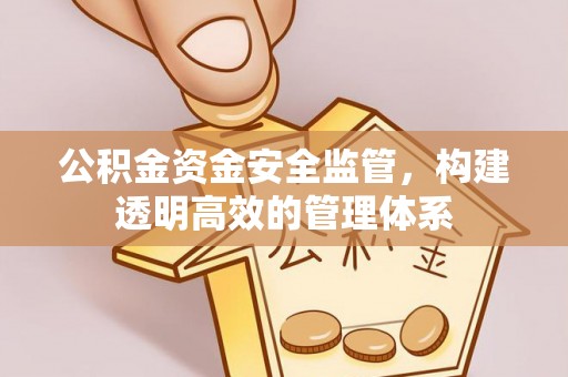 武江公积金资金安全监管，构建透明高效的管理体系
