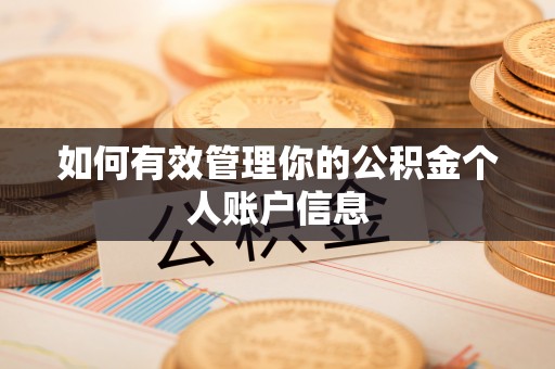 武江如何有效管理你的公积金个人账户信息