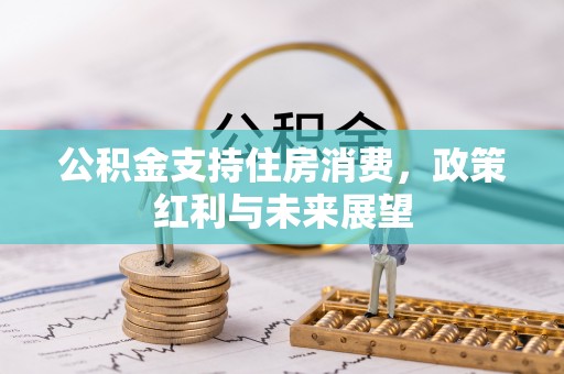 武江公积金支持住房消费，政策红利与未来展望