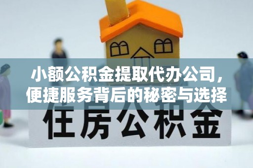 武江小额公积金提取代办公司，便捷服务背后的秘密与选择指南