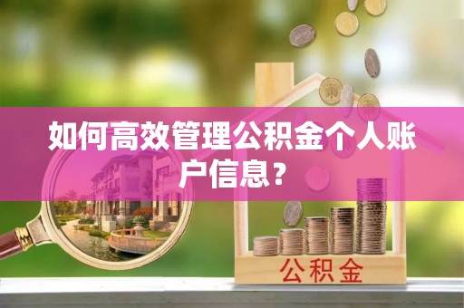 武江如何高效管理公积金个人账户信息？
