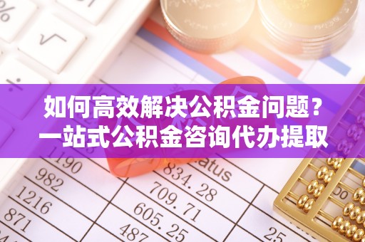 武江如何高效解决公积金问题？一站式公积金咨询代办提取服务全解析