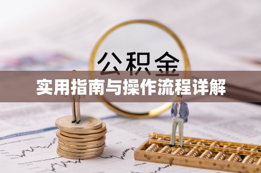 武江实用指南与操作流程详解