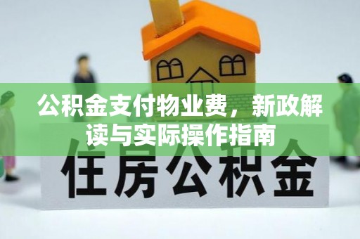 武江公积金支付物业费，新政解读与实际操作指南
