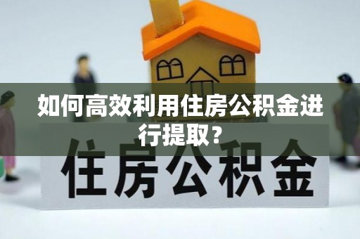武江如何高效利用住房公积金进行提取？