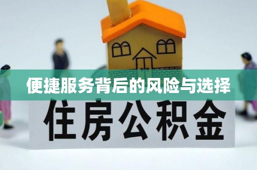 武江便捷服务背后的风险与选择