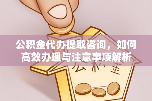 武江公积金代办提取咨询，如何高效办理与注意事项解析