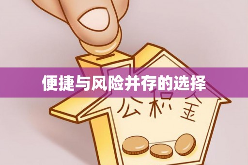 武江便捷与风险并存的选择
