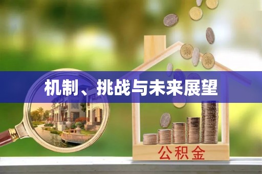 武江机制、挑战与未来展望