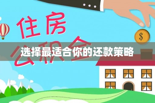 武江选择最适合你的还款策略