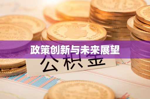 武江政策创新与未来展望