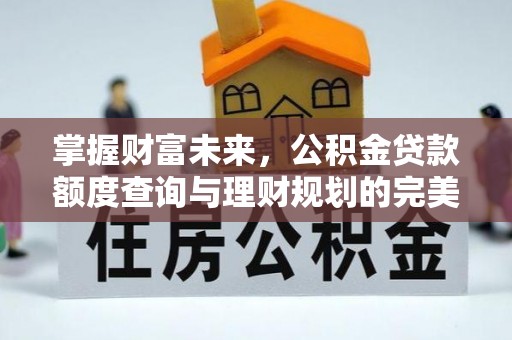 武江掌握财富未来，公积金贷款额度查询与理财规划的完美结合