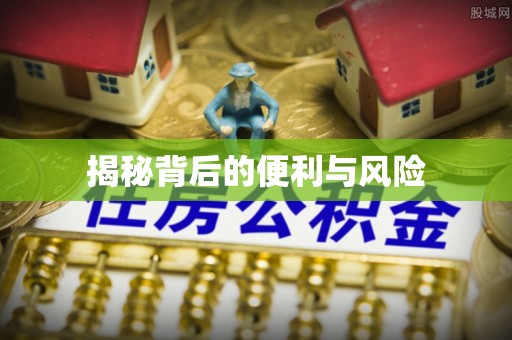 武江揭秘背后的便利与风险