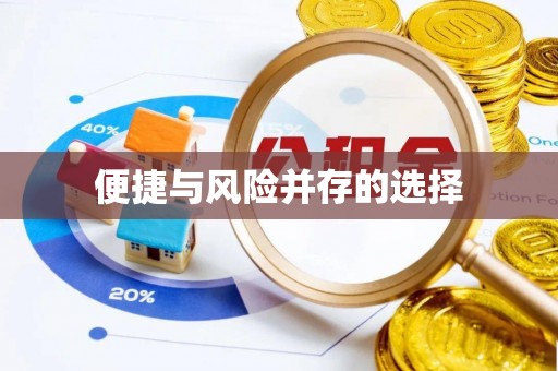 武江便捷与风险并存的选择